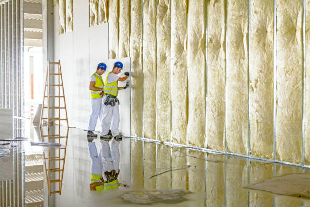 Best Blown-in Insulation in East Brooklyn, CT